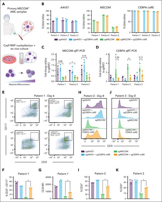 CEBPA cisRE is necessary for differentiation of MECOM-driven AML cells. (A) Primary MECOM+ AML cells were harvested from patients at diagnosis and cryopreserved (supplemental Table 9). Cells were thawed for short-term ex vivo culture and electroporated with CRISPR-Cas9 RNPs to induce genetic perturbations at the MECOM vs AAVS1 locus ± CEBPA +42 kb cisRE. (B) Efficiency of gene editing in 3 biologically distinct primary AMLs at the AAVS1, MECOM, and CEBPA (cisRE) loci. Editing estimated using Sanger sequencing of amplicons followed by sequence trace decomposition analysis with Inference of CRISPR Edits (ICE) tool.58 For CEBPA cisRE, only deletions resulting from dual guide cleavage were counted. n = 3 technical replicates. Mean and SEM are shown. (C-D) qRT-PCR of CEBPA and MECOM expression in all conditions 3 days postelectroporation. Fold change represents ΔΔCt values compared to the sgNT condition. n = 3 technical replicates, and mean and SEM are shown. n = 3 independent replicates, and mean and SEM are shown. Two-sided Student t test was used for comparison. ∗P < .05. (E-G) Immunophenotypic analysis of a primary leukemia sample (patient 1, supplemental Table 9) 6 days postelectroporation. (E) Bivariate plot showing CD34 and CD117 expression assessed by flow cytometry. Black box denotes CD34+/CD117+ subset. (F) Percentage of CD34+/CD117+ cells. (G) CD34 expression measured by MFI. n = 3 independent technical replicates. Mean and SEM are shown. A Mann-Whitney test was used for comparisons. ∗P < .05. (H-I) Immunophenotypic analysis of a primary leukemia sample (patient 2, supplemental Table 9) 8 days postelectroporation. (H) Histogram showing CD34 expression assessed by flow cytometry. (I) Percentage of CD34+ cells. n = 3 independent technical replicates. Mean and SEM are shown. A Mann-Whitney test was used for comparisons. ∗P < .05. (J-K) Immunophenotypic analysis of primary leukemia (patient 3, supplemental Table 9) 8 days postelectroporation. (J) Histogram showing CD34 expression assessed by flow cytometry. (K) Percentage of CD34+ cells. n = 3 independent replicates. Mean and SEM are shown. Two-sided Student t test was used for comparisons. ∗P < .05. MFI, mean fluorescence intensity; sgNT, nontargeting sgRNA.