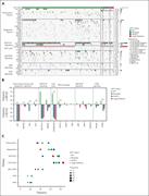 The oncogenetic landscape of LEF1-altered T-ALL. (A) Oncoplot illustrating the genetic anomalies found in LEF1-WT and LEF1-altered T-ALL cases from the FRALLE-2000 and GRAALL 2003-2005 studies. Each column represents an individual case, annotated with defining genetic and oncogenomic alterations. Genes are grouped by their functional categories. The right panel shows the overall frequency of alterations per gene in LEF1-WT and LEF1-altered patients. (B) Representation of the alteration frequencies for the genes significantly differentially altered in LEF1-WT vs mutated, Del2/3, or deleted patients across FRALLE-2000 and GRAALL 2003-2005 trials. Statistical differences were assessed using the Fisher test. ∗∗P < .01; ∗∗∗P < .001. (C) Distribution of gene alterations by functional pathways in LEF1-WT vs mutated, Del2/3, or deleted patients in the FRALLE-2000 and GRAALL 2003-2005 trials. ALT, altered.