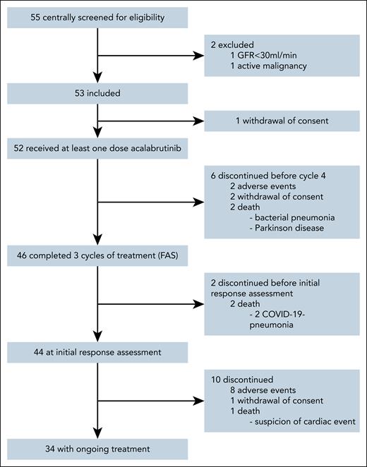 CONSORT diagram. GFR, glomerular filtration rate.