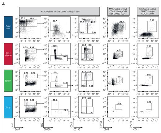 Ex vivo profiling of MKs by flow cytometry and scRNA-seq demonstrates that the bone marrow is the leading site of megakaryopoiesis in mice. (A) Representative dot plots of HSPCs, MKPs, and MKs.