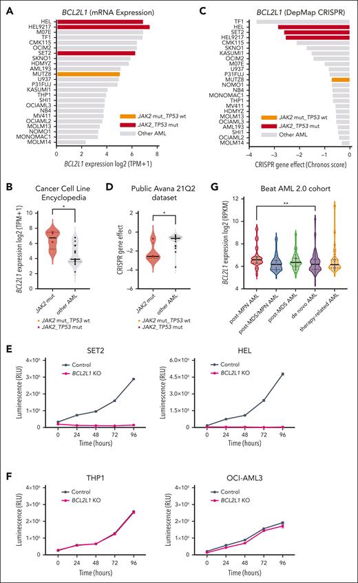 BCL-xL plays a critical role in the survival of JAK2-mut AML cell lines and patients with post-MPN AML. (A) BCL2L1 mRNA expression in AML cell lines in the Cancer Cell Line Encyclopedia database. (B) When the cell lines shown in panel A were grouped, JAK2-mut cell lines had significantly higher BCL2L1 expression than other AML cell lines. ∗P < .05. (C) BCL2L1 CRISPR gene knockout (KO) effect in AML cell lines in the Public Avana 21Q2 (DepMap) data set. More negative value corelate a stronger dependence. (D) When the cell lines shown in panel C were grouped, JAK2-mut cell lines had significantly lower BCL2L1 CRISPR gene scores than other AML cell lines. More negative values indicate stronger dependence. ∗P < .05. (E) Proliferation curves of JAK2-mut cell lines (SET2 and HEL) after BCL2L1 KO. (F) Proliferation curves of JAK2-WT AML cell lines (THP1 and OCI-AML3) after BCL2L1 gene KO. (G) RNA-seq analysis of BCL2L1 in patient data in the Beat AML 2.0 cohort. Cases were stratified according to AML with history of previous MPN (n = 28), prior MDS/MPN overlap (n = 24), prior MDS (n = 63), de novo AML (n = 323), or therapy-related AML (n = 53). Patients with prior MPN showed significantly higher BCL2L1 expression than patients with de novo AML. ∗∗P < .01. RLU, relative light unit; RPKM, reads per kilobase million; TPM, transcripts per million.