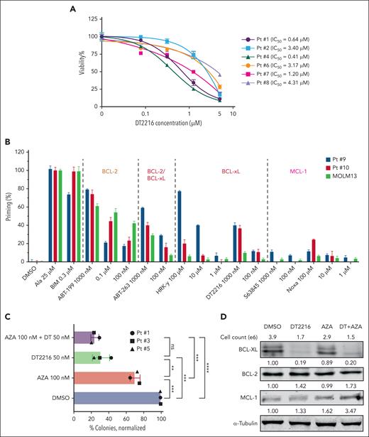 DT2216 alone or in combination with AZA can effectively reduce the colony-formation ability of JAK2-mut AML CD34+ primary leukemia cells. (A) Viability of CD34+ AML cells isolated from patients with post-MPN AML treated with the indicated concentrations of DT2216 for 24 hours. Note: Patient 7’s samples included total leukemia cells. (B) BH3 profiling of cells from 2 patients with post-MPN AML and MOLM13 cells (as a control). (C) Colony formation for CD34+ AML cells isolated from patients with JAK2-mut AML and treated with DT2216 (50 nM) and/or AZA (100 nM) in methylcellulose for 10 to 14 days. Colonies were counted using the EVOS imaging system (Thermo Fisher Scientific, Bothell, WA) and significance determined by t test. ∗∗P < .01; ∗∗∗P < .001; ∗∗∗∗P < .0001. (D) Western blot analysis confirmed that DT2216 alone or in combination with AZA can effectively target and degrade BCL-xL in cells collected from methylcellulose. α-tubulin was used as the loading control for the western blot. ns, nonsignificant; Pt, patient.
