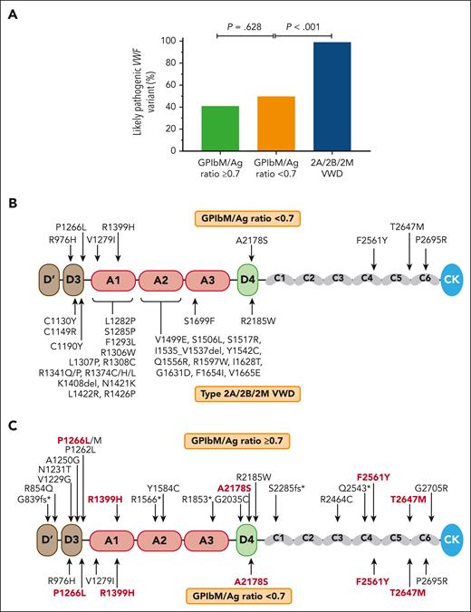 Genetic basis underlying the low VWF subgroups and type 2A/B/M VWD. (A) Presence of likely pathogenic VWF sequence variants among patients with low VWF with VWF:GPIbM/VWF:Ag ratios of ≥0.7 (n = 48) and <0.7 (n = 10), and among those with type 2A/2B/2M VWD (n = 228). The P values were determined using χ2 tests. (B) Illustration of the likely pathogenic VWF sequence variants identified in patients with low VWF with VWF:GPIbM/VWF:Ag ratios of <0.7 (above the VWF monomer) in comparison with those among patients with type 2A/2B/2M VWD (below the VWF monomer). Some variants were present in >1 patient. (C) Illustration of the likely pathogenic VWF sequence variants identified among patients with low VWF with VWF:GPIbM/VWF:Ag ratios of ≥0.7 (above the VWF monomer) in comparison with those among patients with VWF:GPIbM/VWF:Ag ratios of <0.7 (below the VWF monomer). The red variants were present in both groups. Some variants were present in >1 patient. An asterisk indicates a variant with a stop codon.