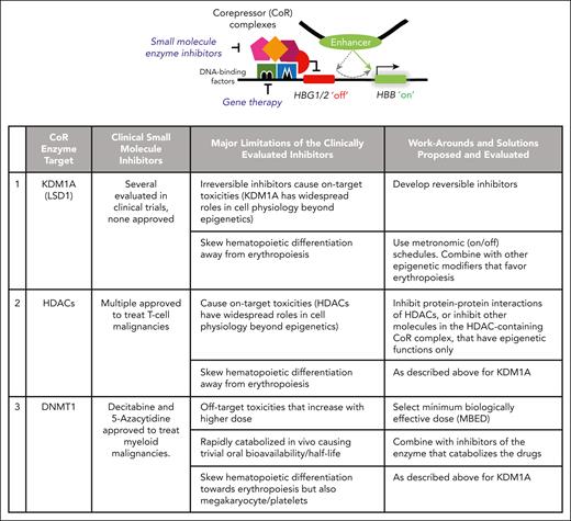 A switch from fetal-globin gene (γ-globin, HBG1/2) to adult β-globin gene (HBB) transcription occurs during erythropoiesis (“maturational switch”) and requires the repression of HBG1/2 by druggable repressing epigenetic enzymes (CoRs). Gene therapy targets the DNA-binding factors that recruit the CoR enzymes. An alternative approach is to inhibit the enzyme elements in the hub (eg, LSD1, HDACs, DNMT1) with small molecules. Limitations of available clinical-stage CoR enzyme inhibitors are shown, including lessons learned for moving forward. Small molecule inhibitors for other CoR enzymes in the hub, CHD4 and CBX5, are in a preclinical stage of development.