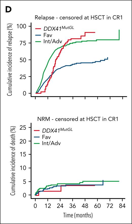 Outcome of patients with DDX41MutGL compared with DDX41WT AML. (D) Cumulative incidence of relapse (top) and death (bottom) censored at HSCT in CR1 in DDX41MutGL and DDX41WT AML.