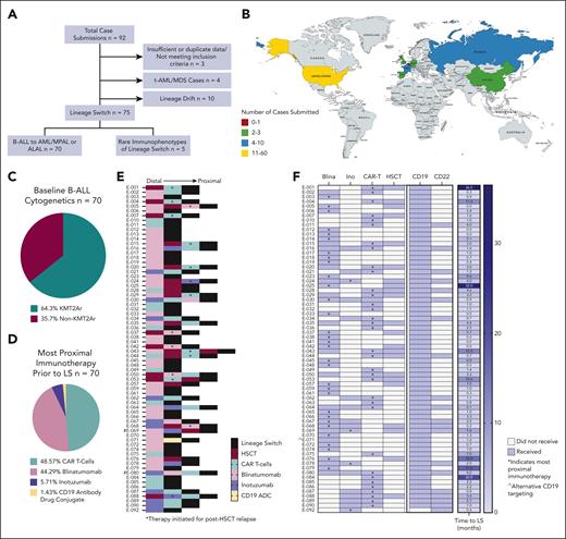 Description of the cohort and most proximal immunotherapy. (A) CONSORT diagram showing patients with LS identified via multicenter retrospective analysis. (B) Map illustrating countries from which cases of LS were submitted. Quantity of cases reported per country represented by colored shading. (C) Percentage of LS cases reported with baseline cytogenetics incorporating a KMT2Ar (at diagnosis or preimmunotherapy relapse). (D) Summary of most proximal immunotherapy administered before development of LS. (E) Sequencing of various immunotherapeutic agents received. #E-069 and E-080 had blinatumomab and inotuzumab within the same time frame. ∗Indicates when therapy was initiated for post-HSCT relapse. (F) Summary of all antigen-targeted therapies received. ∗Indicates most proximal therapy received, ˆindicates alternative CD19 targeting with an antibody-drug conjugate (ADC). Blina, blinatumomab; HSCT, hematopoeitic stem cell transplant; Ino, inotuzumab; MDS, myelodysplastic syndrome.