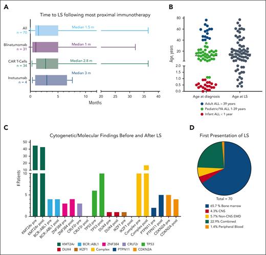 Diagnosis and treatment of LS. (A) Time from the most recent immunotherapy to the development of LS (a single patient who received a CD19-targeted antibody-drug conjugate is not shown here, but this patient developed LS 1.2 months after therapy). Boxes represent median value and upper and lower quartiles with error bars representing the range of reported values. Patient E-069 received inotuzumab and blinatumomab in the same general timeframe but was categorized as inotuzumab being the more recent. (B) Age at initial diagnosis and age at the time of LS. Red indicates those who were diagnosed with infant ALL; green indicates those who were within the pediatric/YA age group; blue indicates those who were aged >39 years at the time of initial diagnosis. (C) Molecular/cytogenetic abnormalities seen before and after LS. (D) Location of LS at time of presentation. YA, young adult.