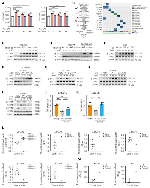 WES of DNA samples and functional assays to identify variations in the JAK-STAT pathway. (A) The inhibitory effect of Rux on p-STAT3 and p-STAT5 in WBCs from healthy donors following stimulation with patient serum. The findings were confirmed in 3 independent experiments using cells from different donors. (B) Filtering method for pHLH, MAS/HLH susceptibility, and JAK-STAT pathway variation and specific variation of the MAS/HLH susceptibility and JAK-STAT pathway in 10 patients. (C-D) Representative immunoblot of STAT5 phosphorylation in transfected 293T cells treated with PBS or PDGF-BB (100 ng/mL) for 15 minutes. (E) Representative immunoblot of STAT3 phosphorylation in transfected 293T cells treated with PBS or IL-7 (100 ng/mL) for 15 minutes. (F) Representative immunoblot of STAT3 phosphorylation in transfected 293T cells treated with PBS or IL-23 (100 ng/mL) for 15 minutes. (G) Representative immunoblot of STAT3 phosphorylation in transfected 293T cells treated with PBS or IL-11 (100 ng/mL) for 15 minutes. (H) Representative immunoblot of STAT3 phosphorylation in transfected 293T cells treated with PBS or IL-10 (100 ng/mL) for 15 or 60 minutes. (I) Representative immunoblot of STAT1 and STAT3 phosphorylation in transfected 293T cells treated with PBS or IL-27 (100 ng/mL) for 15 minutes. (J) Quantitative PCR (qPCR) of CXCL10 in 293T cells transfected with WT or mutant PIAS4 plasmids and stimulated with IFN-γ (50 ng/mL) for 8 hours. (K) qPCR of CXCL11 in 293T cells transfected with WT or mutant SOCS4 plasmids and stimulated with IFN-α (1000 U/mL) for 8 hours. (L) The effect of activation of p-STAT3/5 on WBCs from patients and controls upon stimulation. (M) The effect of upregulation of CXCL10/CXCL11 in WBCs from patients and controls upon stimulation. ∗∗P < .01; ∗∗∗∗P < .0001. HC, healthy control; MFI, median fluorescence intensity; PBS, phosphate-buffered saline; Rux, ruxolitinib.