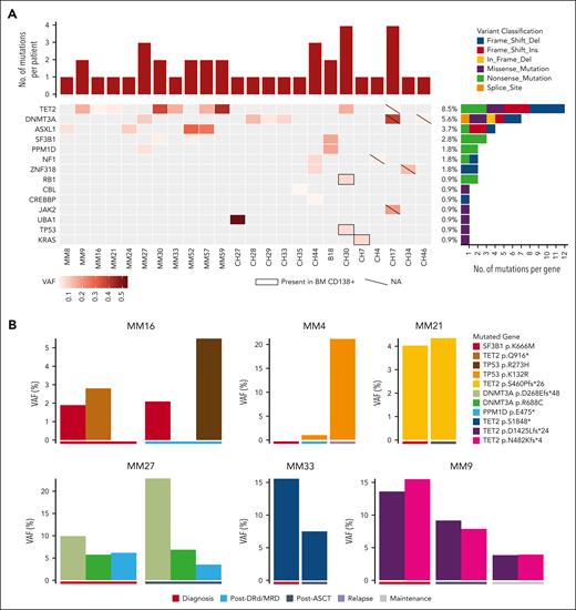 Mutational spectrum of CHIP. (A) Oncoplot of mutations in CHIP-associated genes detected in the PB of patients with MM at diagnosis. Each column represents 1 tumor sample and each row a gene. The heat map is color coded according to (maximum) VAF at which each gene was found mutated in the corresponding sample, as depicted in the color-scale bar at the bottom. In case the variant was found also in DNA from BM PCs, the gene reveals a black contour. For mutations whose MM origin could not be excluded due to unavailability of PC DNA, genes are highlighted with a diagonal bar. The number and the types of mutations (as specified in the legend) identified in each gene are plotted on the right of the heat map, preceded by the indication of the percentage of mutated patients. The bar graph above the heat map represents the number of variants per patient. (B) Dynamics of CHIP-associated mutations detected in longitudinally analyzed patients, suggesting patterns of branching (MM16) or linear evolution (MM4), or stability, expansion, or reduction of subclones present both at diagnosis and during follow-up (MM21, MM27, MM33, and MM9). The bar charts represent the VAF of the variants (listed in the legend on the right) at each time point (color coded according to the disease phase, as detailed under the graphs).