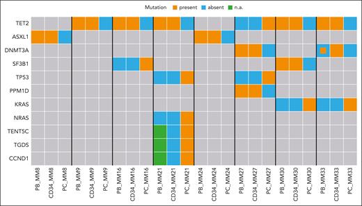 Clonal interrelationships between MM and CHIP. Oncoplot representing the occurrence of mutations indicative of myeloid or lymphoid clonality in HSCs and PCs flow sorted from the BM of 8 CHIP-positive patients with MM. For each patient, the CHIP-defining mutated genes identified in peripheral WBCs are also reported, in the first column. The smaller orange square refers to a mutation at a VAF <2%. The abbreviation “n.a.” stands for not available information and regards the mutational status of MM driver genes, not sequenced in peripheral WBCs.