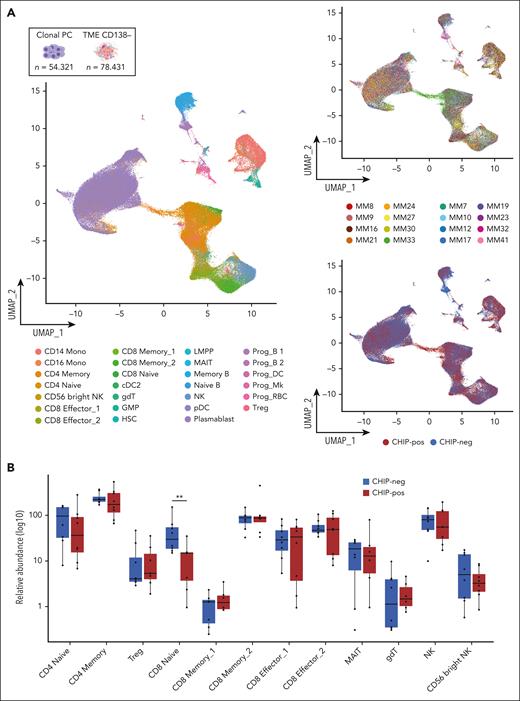 Cellular composition of the BM microenvironment. (A) 2D UMAP representation of the 132 752 analyzed cells color coded by assigned cell type (left), patient (top right), or relative CHIP status (bottom right). (B) Box plot revealing the relative abundance of different T and NK cell subtypes between CHIP-negative (bright blue) and CHIP-positive (deep red) patients. ∗adjusted P value <.05; ∗∗∗adjusted P value <.001. gdT, gamma-delta T cells; MAIT, mucosa-associated invariant T cells; UMAP, uniform manifold approximation and projection.