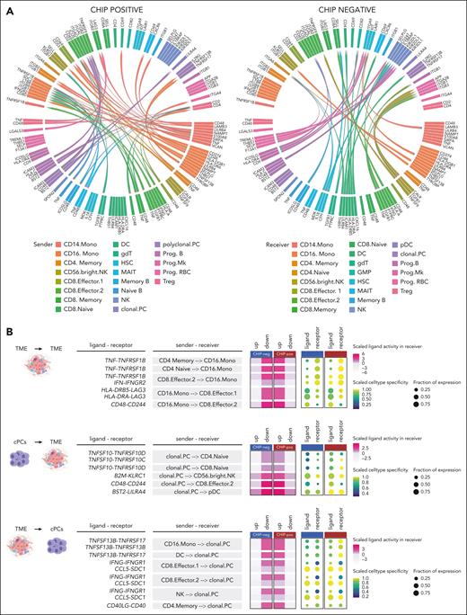 Top 100 most differential cell-cell interactions between CHIP-positive and CHIP-negative groups. (A) Chord diagram visualization of the top 100 prioritized interactions in clonal (left) and nonclonal (right) TME. The arrowhead indicates the direction from sender to receiver cell type, and the color of the arrow indicates the sender cell type that expresses the ligand. (B) Representation of ligand activity, cell-type specificity of expression, and fraction of expression for a selected subset of ligand-receptor interactions.