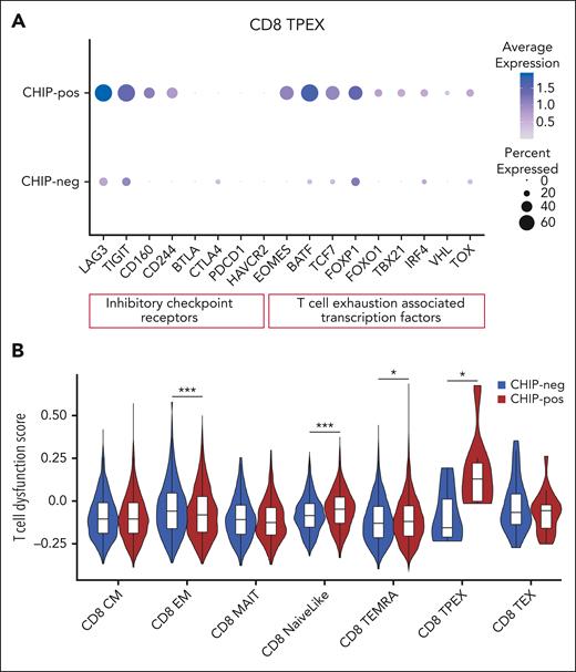 Expression of T-cell exhaustion markers in CD8 T cells according to CHIP status. (A) Dot plot displaying the expression of selected marker genes in CD8 T precursor exhausted cells of CHIP-positive and CHIP-negative samples. The X-axis lists gene names, whereas the Y-axis lists the CHIP status. Circle size corresponds to the percentage of cells in the category expressing the gene of interest, whereas shade correlates with the level of expression. (B) Violin plot depicting the T-cell dysfunction score computed in CD8 T-cell subpopulations of CHIP-negative and CHIP-positive samples. ∗adjusted P value <.05; ∗∗∗adjusted P value <.001.