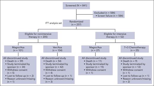 CONSORT diagram of the ENHANCE-2 trial. 7+3 chemotherapy, 7 days of continuous IV cytarabine (100 or 200 mg/m2 daily) and 3 days of IV daunorubicin (60 mg/m2 daily) or idarubicin (12 mg/m2 daily) on days 1 through 3.