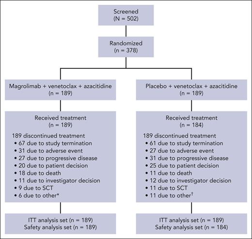 CONSORT diagram. ∗Lack of efficacy (n = 4), protocol violation (n = 1), and initiation of anti-AML therapy (n = 1). †Lack of efficacy (n = 6) and patient never exposed to study drug (n = 5). CONSORT, Consolidated Standards of Reporting Trials; SCT, stem cell transplantation.
