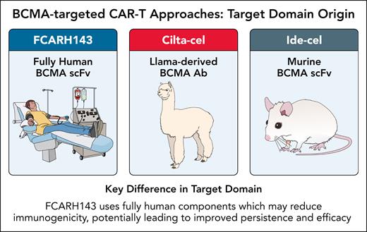 BCMA-targeted CAR T-cell approaches: target domain origin. AB, antibody; scFv, single-chain variable fragment. Professional illustration by Patrick Lane, ScEYEnce Studios.