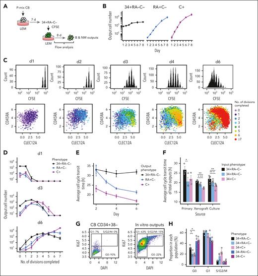 Cells differentiating toward either B or NM lineages undergo rapid and simultaneous acceleration of their proliferative activity. (A) Design of the cell division tracking strategy used to analyze the progeny of individual CD34+RA–C– cells. (B) Number of output cells per 1000 input CD34+RA–C– cells tracked over an 8-day period in the design shown in panel A (data points show the mean ± SEM values pooled from 5 experiments). (C) CFSE and surface marker expression profiles of cells obtained at different times of cultures initiated with CFSE-labeled CD34+RA–C– cells. The number of completed divisions was determined by the fold dilution of CFSE fluorescence intensity. (D) Numbers of the 3 output phenotypes detected in successive CFSE fluorescence peaks indicative of completion of different numbers of cell divisions (generated per 1000 CD34+RA–C– input cells; data points show the mean ± SEM values pooled from 5 experiments). (E) Average cell cycle transit times (in hours) preceding the appearance of different output phenotypes at different time points (data points show the mean ± SEM values pooled from 5 experiments). (F) Average cell cycle transit times (mean ± SEM) of the immediate progeny of different sources of CFSE-labeled CD34+RA–C–, CD34+RA+C–, and CD34+C+ phenotypes assessed after a 4-day culture in LEM. Input cells tested were isolated directly from unmanipulated CD34+ CB cells (n = 3 experiments), xenografts (n = 4 experiments), and cultures (n = 7 experiments). ∗P < .05; ∗∗P < .01 (via pairwise t tests post Holm adjustment). (G) Assignment of G0, G1, and S/G2/M phases based on the intensity of Ki67 (log10-transformed pixel values) and DAPI (105 pixel values) measured by immunofluorescence. Data shown are representative profiles of primary CB CD34+38– cells (left) and pooled week 2 outputs of CB P-mix cells (right). (H) Proportions of week 2 output cells of CB P-mix at each cell cycle phase within each phenotypic population (bars showing the mean ± SEM values of 3 experiments). ∗P < .05, determined by t tests post Holm adjustment. DAPI, 4′,6-diamidino-2-phenylindole.