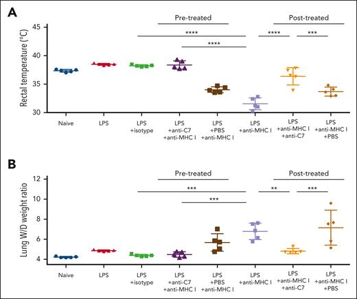 Anti-C7 inhibited anti-MHC 1–induced murine TRALI. Wild-type BALB/c male mice were treated with mAbs against MHC 1 (anti-MHC 1: mAb 34-1-2S) for TRALI induction as indicated. In the prophylactic approach, anti-C7 (dose: 1 mg/200 μL in PBS) was injected before TRALI induction with mAb 34-1-2S (4.5 mg/kg). In the therapeutic approach, TRALI was first induced with mAb 34-1-2S (4.5 mg/kg), then treated with anti-C7 (dose: 1 mg/200 μL in PBS) after TRALI. PBS was treated as a control. Rectal temperatures (A) and lung W/D weight ratios (B) were measured as described earlier (n = 5 in each cohort). Statistical analysis was performed with 1-way analysis of variance with Bonferroni correction for multiple comparisons. Each dot represents 1 mouse and error bars represent the standard deviations. ∗∗∗∗P < .0001; ∗∗∗P < .001; ∗∗P < .01.