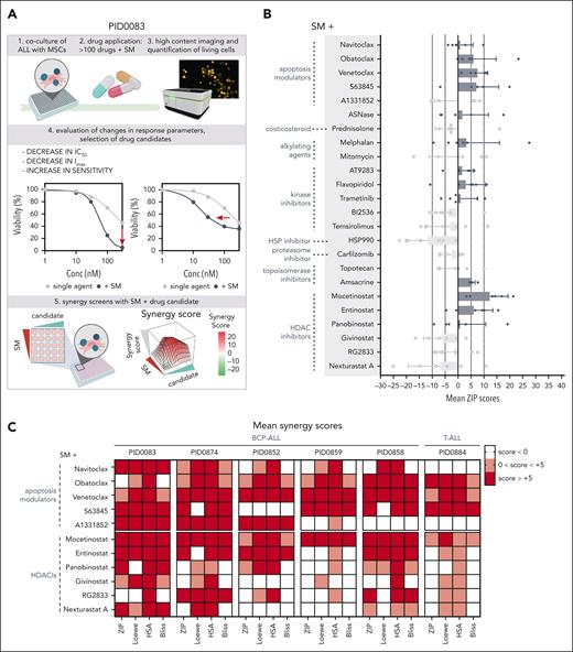 Apoptosis modulators and HDACis potentiate SM response, showing synergistic potential in ALL PDXs. (A) Schematic representation of experimental set up. (B) DRP from 6 different PDXs, screened for synergy between the SM birinapant and 24 anticancer compounds. Each dot represents a sample. Mean, and standard deviation are also shown. Samples included BCP-ALL (PID0083, PID0874, PID0852, PID0859, and PID0858) and T-ALL (PID0884). Within each PDX, n = 1. (C) Heat map depicting mean synergy scores (ZIP, Loewe, HSA, and Bliss) for combinations of SM + apoptosis modulators and SM + HDACis, indicated for each PDX. White represents synergy scores <0; pink represents synergy scores between 0 and +5; red represents synergy scores above +5. HSA, highest single agent; IC50, 50% inhibitory concentration; MSC, mesenchymal stem cell.