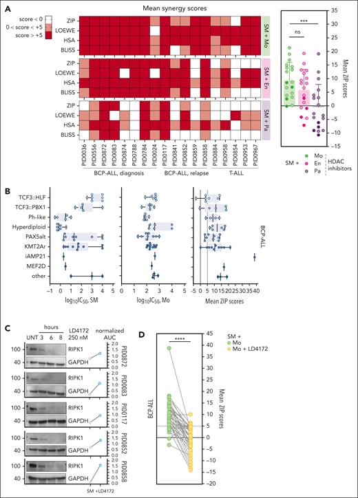 SM synergizes with HDACi across ALL PDXs in a RIPK1-dependent fashion. (A) Heat map depicting mean synergy scores (ZIP, Loewe, HSA, and Bliss) obtained from matrix synergy screens performed in 18 BCP-ALL and T-ALL, including relapse and diagnosis samples. White represents synergy scores <0; pink represents synergy scores between 0 and +5; red represents synergy scores above +5 (left). The Wilcoxon matched-pairs signed rank test revealing significant differences in mean ZIP scores between SM + Mo combination and the other combinations. Lighter dots, BCP-ALL; darker dots, T-ALL (right). (B) Individual sensitivities (log10IC50) toward SM or Mo and mean ZIP scores value for the SM + Mo combination, calculated for 47 BCP-ALL PDXs, grouped by subtype. (C) Immunoblot showing RIPK1 depletion after 6-hour treatment with LD4172 in 5 PDXs. GAPDH is used as a loading control. Dot plot depicting normalized logarithmic SM AUC (normalized AUC) upon SM treatment alone vs pretreatment with LD4172. (D) The Wilcoxon matched-pairs signed rank test indicating the significance of the variation in ZIP scores between SM + Mo combination with and without LD4172-mediated RIPK1 degradation, in 42 BCP-ALL PDXs. ns, P > .05; ∗∗∗P ≤ .001; ∗∗∗∗P ≤ .0001. Replicates within each PDX are indicated on respective underlying data table (supplemental Data 1). SM, birinapant. AUC, area under the curve; En, entinostat; GAPDH, glyceraldehyde-3-phosphate dehydrogenase; ns, not significant; Pa, panobinostat; UNT, untreated.