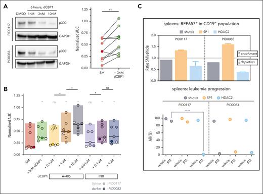 Depletion of SP1, p300, or HDAC2 alters sensitivity toward SM in different PDXs. (A) Immunoblot showing depletion of p300 upon treatment for 6 hours with various concentrations of dCBP1 or DMSO in 2 PDXs. GAPDH is used as a loading control (left). Dot plot showing normalized AUC upon SM treatment in 10 SM-sensitive BCP-ALL with or without pretreatment with dCBP1 for 6 hours (right). The Wilcoxon matched-pairs signed rank test revealing significant differences in normalized AUC. PDXs included PID0036, PID0556, PID0872, PID0083, PID0788, PID0874, PID0117, PID0852, PID0859, and PID0858. (B) Box plot showing SM normalized AUC from 7 BCP-ALL PDXs treated with indicated p300 inhibitors (A-485, 0.1-10 μM; INB, 0.01-1 μM; concentration ranges were selected based on different potencies of the compounds). The Wilcoxon matched-pairs signed rank test detecting differences in the normalized AUC upon SM treatment after pretreatment with different p300 inhibitors compared with SM alone (gray∗) or compared with increasing concentrations of the same inhibitors (black∗). Median is displayed for each condition. PDXs included PID0556, PID0083, PID0874, PID0117, PID0852, PID0859, and PID0858. (C) Bar plot depicting the ratio of RPF657+ population (construct-containing population) calculated on human CD19+ (hCD19+) population in spleens of mice treated with SM over spleens of mice treated with vehicle. HDAC2, population containing LC.RFP657.HDAC2 construct; shuttle, population containing LC.RFP657.shuttle construct (used as control); SP1, population containing LC.RFP657.SP1 construct. No difference, y = 1; enrichment, y > 1; depletion, y < 1. Dot plot depicts hCD19+ cells percent over the total lymphocyte population (hCD19+ + mCD45+) in mice’s spleens at the end of treatment. Multiple comparison 2-way analysis of variance (ANOVA) analysis showing significant difference in ALL population in SM-treated HDAC2-depleted PID0117 spleen compared with the shuttle counterpart. ns, P > .05; ∗P ≤ .05; ∗∗P ≤ .01 ∗∗∗∗P ≤ .0001.