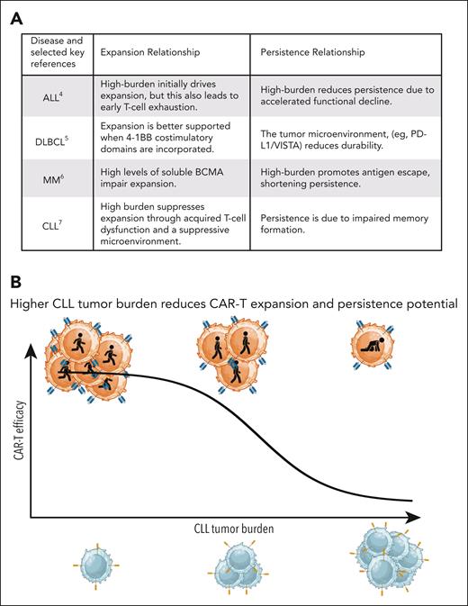 Tumor burden as a key barrier to CAR T-cell efficacy in CLL. (A) In contrast to ALL,4 DLBCL,5 and MM,6 high tumor burden in CLL7 is not merely prognostic but directly impairs CAR T-cell expansion and persistence. Key mechanisms include chronic antigen exposure, metabolic dysfunction, and impaired immunological synapse formation, resulting in attenuated T-cell function. (B) Conceptual schematic illustrating the inverse relationship between CLL tumor burden and CAR T-cell expansion and persistence. In patients with low disease burden, CAR T cells remain, effector function is preserved and can mediate durable responses. In high-burden CLL, expansion is limited and clinical benefit is rarely achieved.
