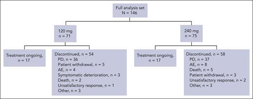 Disposition of patients. PD, progressive disease.