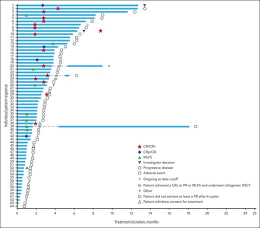 Swimmer plot of duration of treatment (adult efficacy-evaluable population). MLFS, morphological leukemia-free state; PR, partial remission.