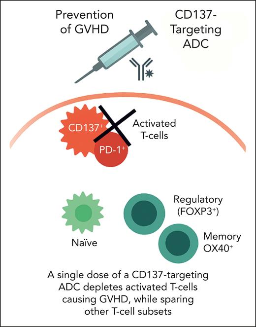 Model for CD137 targeted prevention of GVHD. In the NHP model, presented by Gerdemann et al, a single-dose CD137-ADC selectively depletes CD137+ PD-1+–activated T-cells at the time of transplant, while sparing naïve, memory, and regulatory T-cell subsets to preserve immune reconstitution and prevent GVHD.