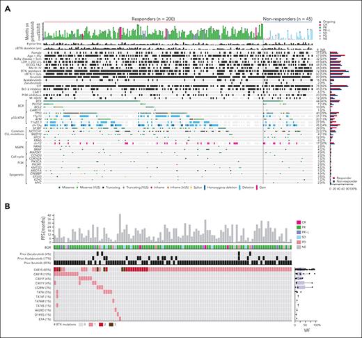 Baseline genomic profile of cBTKi pretreated CLL patients. (A) Oncoprint of genomic alterations at baseline in patients with CLL who responded and those who did not respond to pirtobrutinib. (B) Oncoprint of BTK alterations detected at baseline, pirtobrutinib response, and outcome in patients harboring BTK mutations. CR, complete response; ECOG, Eastern Cooperative Oncology Group; LDH, lactate dehydrogenase; NE, not evaluable; PI3K, phosphoinositide 3-kinase; PR, partial response; PR-L, partial response with lymphocytosis; SD, stable disease; VUS, variant of unknown significance.