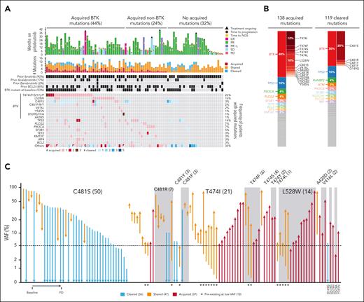 Clonal evolution under pirtobrutinib treatment. (A) Oncoprint of cleared and acquired mutations (C481S, P = 5.8 × 10-6; T474I, P = 6.4 × 10-5; L528W, P = .001, P value derived from the paired t test) (B) Bar plots showing the distribution of acquired mutations and cleared mutations by genes and by BTK residues, each color represents a gene. (C) VAF at baseline and at progression (PD) for 120 BTK mutations detected at baseline and/or PD. For Figure 3C, the high-sensitivity assay (LoD, 0.5% VAF) was used at baseline.