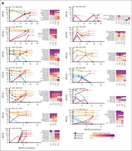 Longitudinal patterns of pirtobrutinib resistance. (A) Timeline showing BTK mutations detected at multiple time points in 67 PD patients with available intermediate time points. (B) VAF at multiple time points in 13 patients with acquired BTK mutations detected in time points collected before PD.