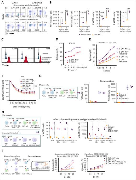 NKG2D upregulation in CAR-iNKT cells accounts for their ability to outperform CAR T cells in vitro. (A) Flow cytometric analysis of NKG2D expression on bispecific CD19-CD133 CAR T cells and CAR-iNKT cells before and after overnight coculture with SEM cells. (B) NKG2D expression as measured by per cent of cells and mean fluorescence intensity (MFI) in SEM and RS4;11 KMT2Ar cells. ∗∗P < .01, ∗∗∗∗P < .0001, by 1-way ANOVA. (C) NKG2D ligand expression in the indicated KMT2Ar leukemia cell lines as assessed by staining with biotinylated NKG2D-Fc protein followed by fluorescent streptavidin. (D-E) Cytotoxicity of bispecific CAR T cells and CAR-iNKT cells that had been precultured with SEM cells against SEM cells in the presence of different concentrations (D), or 5 mg of NKG2D mAb or immunoglobulin (Ig) isotype control (E). (F) Avidity measurement of bispecific CAR-iNKT cells vs CAR T cells against SEM cells in the presence of NKG2D mAb or Ig isotype control. Data are presented as the mean ± SEM. NS, not significant; ∗P < .05, by 1-way ANOVA. (G) Left: schematic of experiment. Right: NKG2D expression (% and MFI) in untransduced T cells/iNKT cells and CAR T cells/CAR-iNKT cells before coculture with leukemia cells. (H) Left: schematic of experiment. Right: NKG2D expression (% and MFI) in untransduced T cells/iNKT cells and CAR T cells/CAR-iNKT cells after coculture with the different SEM cell lines as shown. (I) Left: schematic of experiment. Middle: cytotoxicity of bispecific CAR T cells and CAR-iNKT cells that had been precultured with CD19+CD133+ SEM cells against CD19–CD133– SEM cells in the presence of NKG2D mAb or Ig isotype control. Right: cytotoxicity of bispecific CAR T cells and CAR-iNKT cells that had been precultured with CD19–CD133– SEM cells against CD19–CD133– SEM cells in the presence of NKG2D mAb or Ig isotype control. (A-I) Data are from 2 independent experiments and 2 different iNKT cell donors.