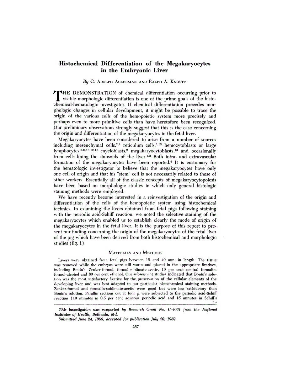 First page of Histochemical Differentiation of the Megakaryocytes in the Embryonic Liver