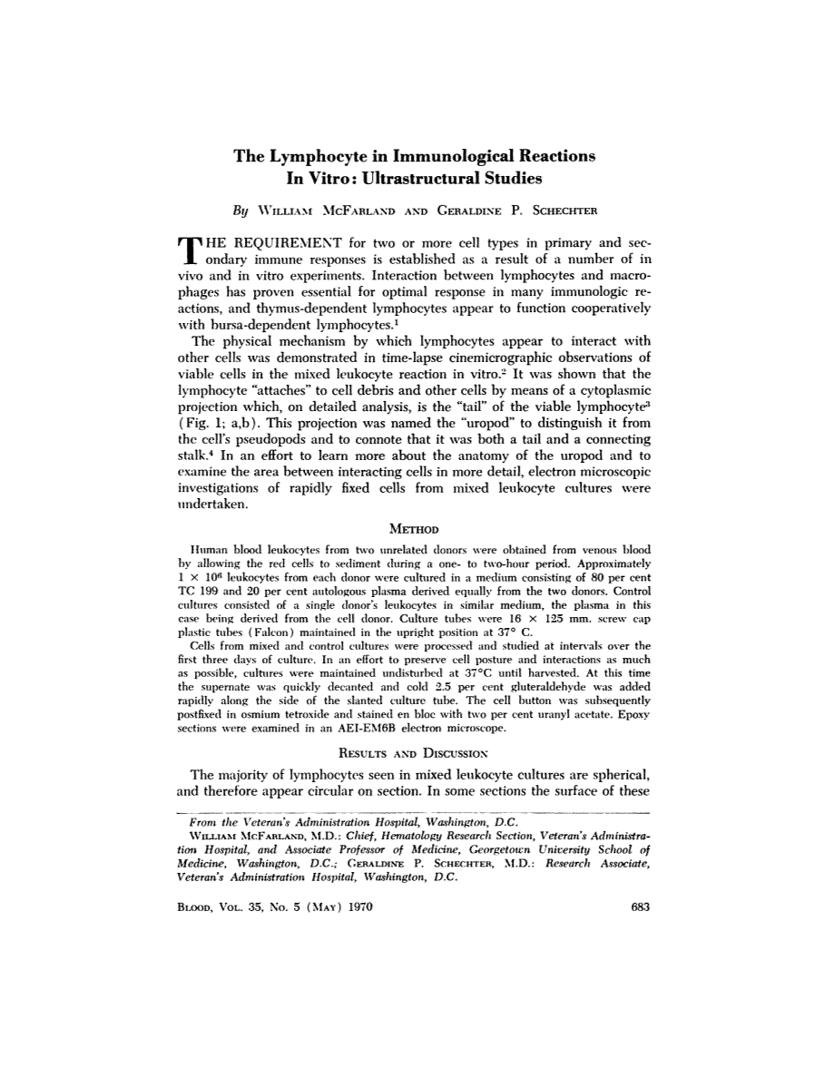 First page of The Lymphocyte in Immunological Reactions In Vitro: Ultrastructural Studies