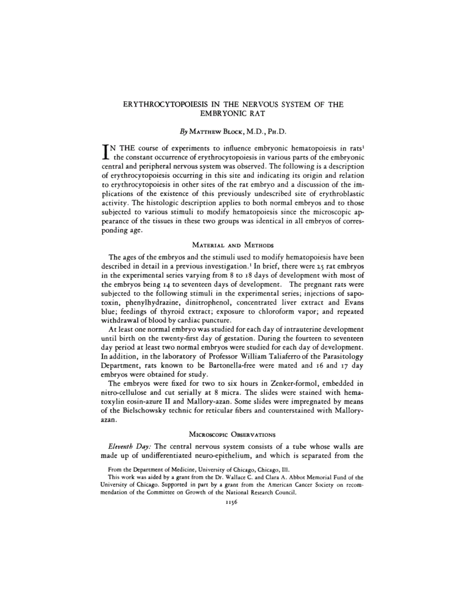 First page of ERYTHROCYTOPOIESIS IN THE NERVOUS SYSTEM OF THE EMBRYONIC RAT