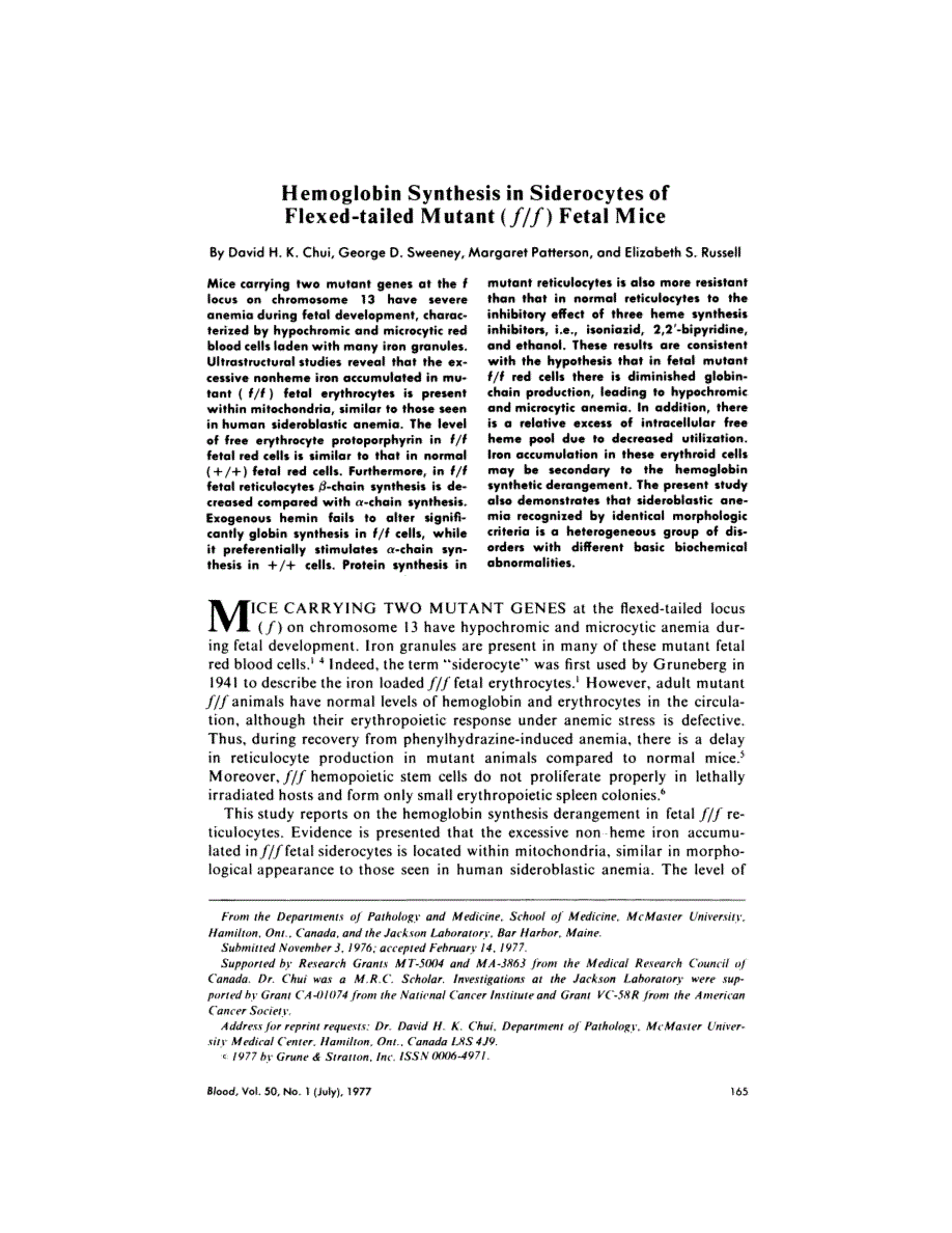 First page of Hemoglobin synthesis in siderocytes of flexed-tailed mutant (f/f) fetal mice