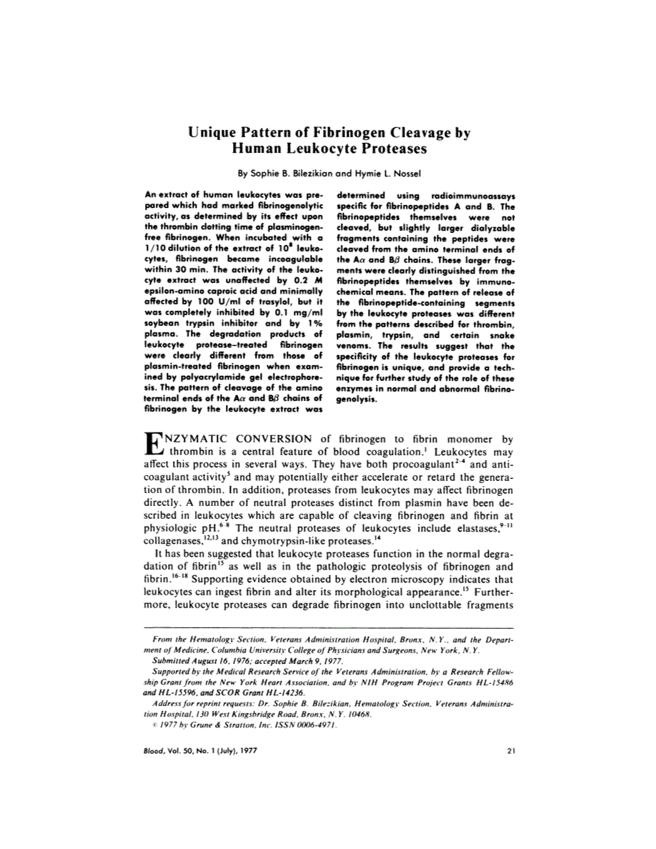 First page of Unique pattern of fibrinogen cleavage by human leukocyte proteases