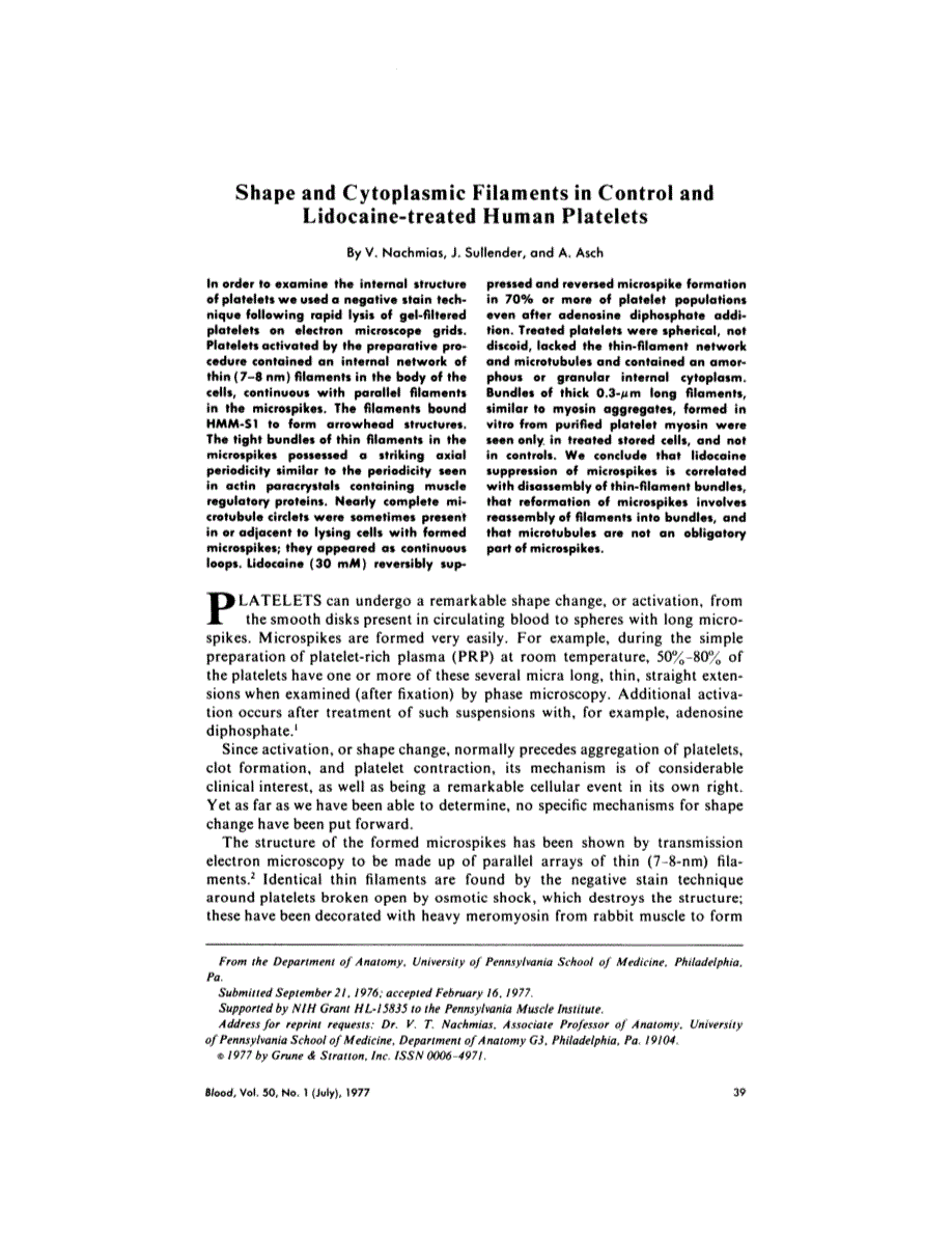 First page of Shape and cytoplasmic filaments in control and lidocaine-treated human platelets