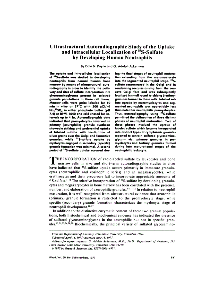 First page of Ultrastructural autoradiographic study of the uptake and intracellular localization of 35S-sulfate by developing human neutrophils