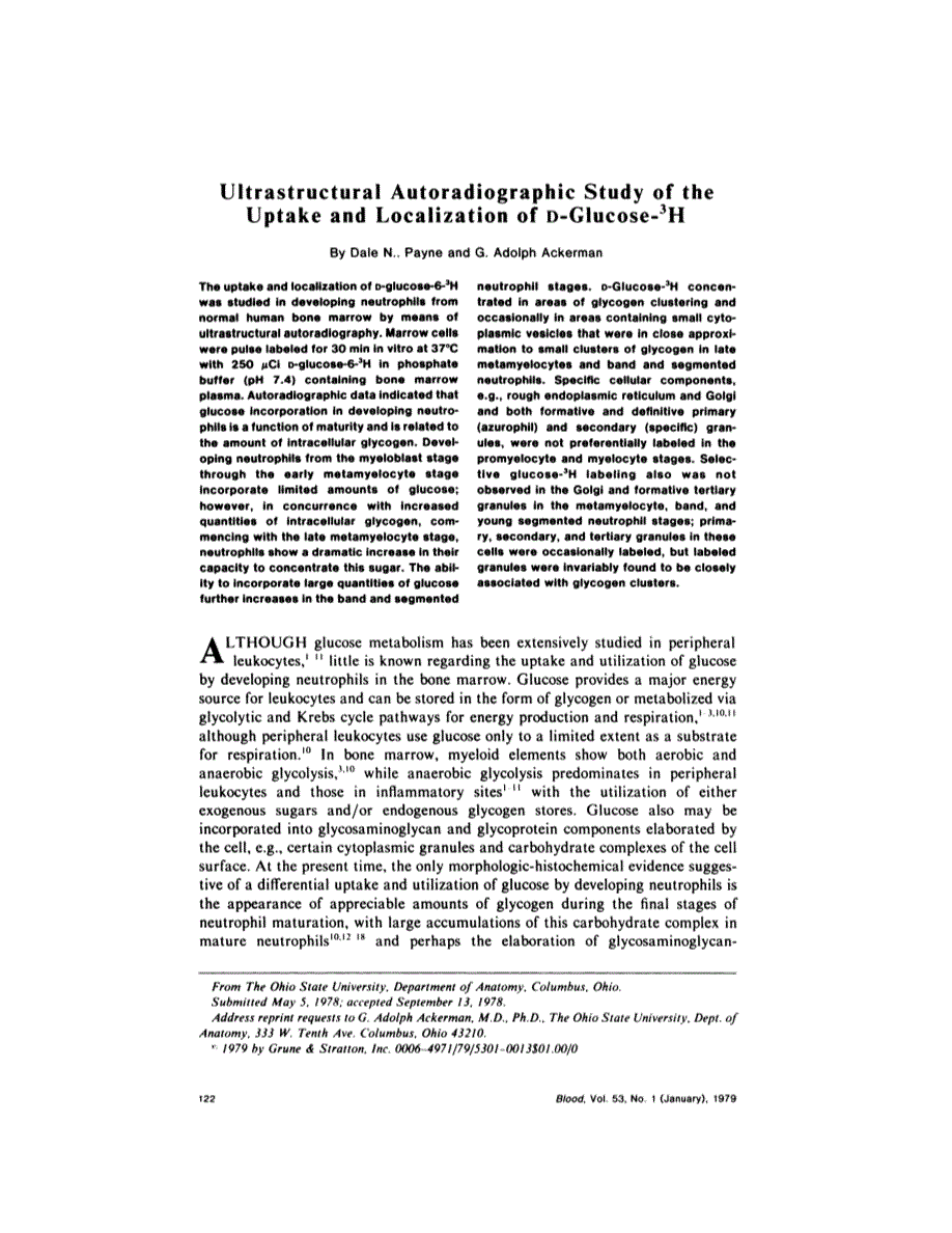 First page of Ultrastructural autoradiographic study of the uptake and localization of D-glucose-3H