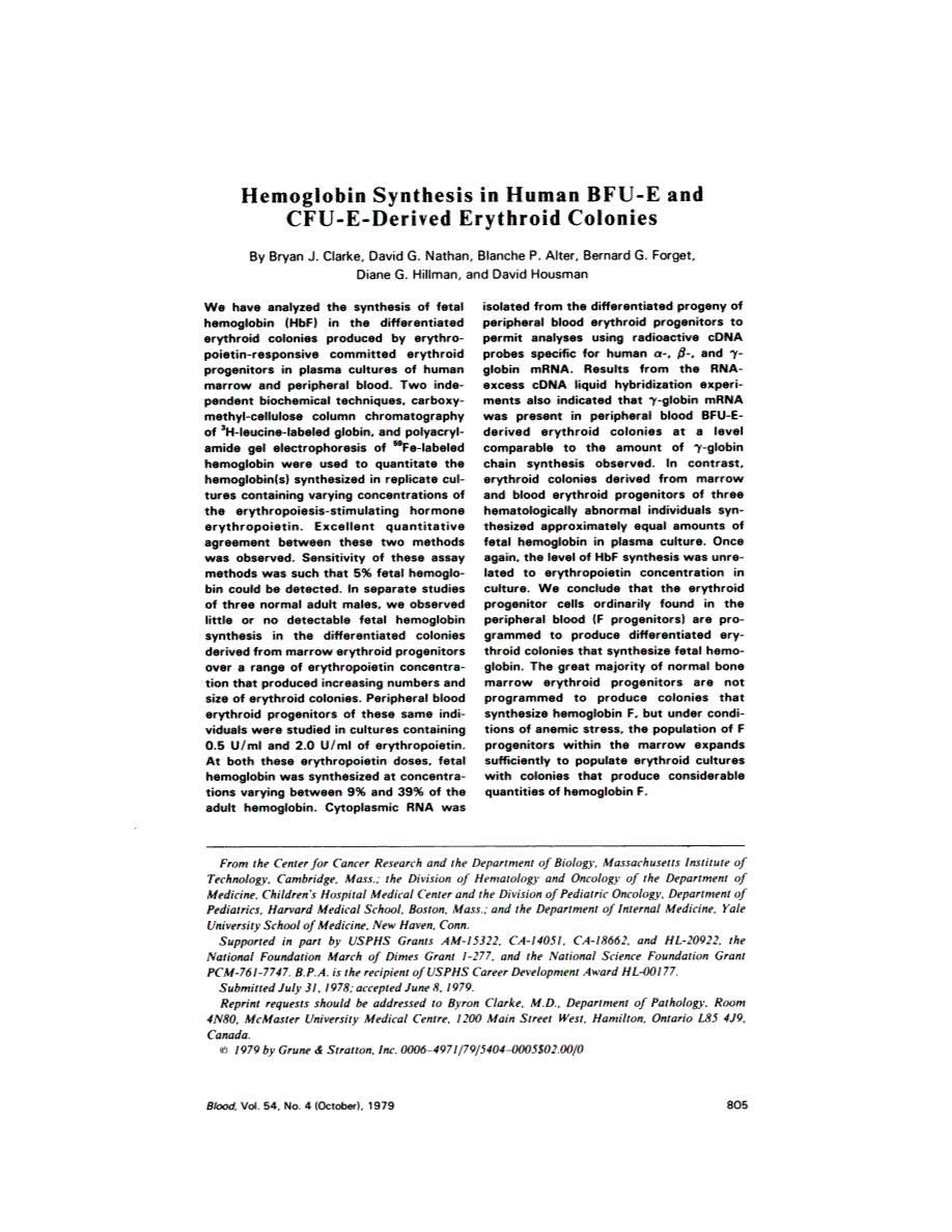 First page of Hemoglobin synthesis in human BFU-E and CFU-E-derived erythroid colonies