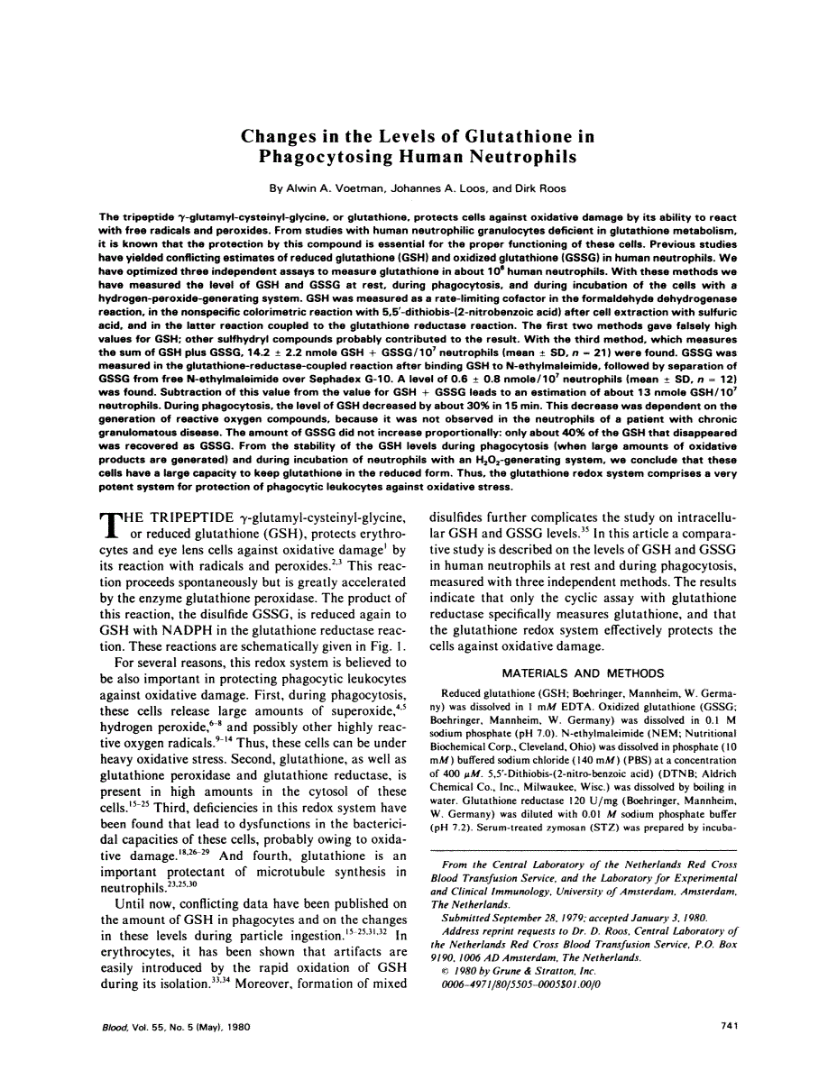 First page of Changes in the levels of glutathione in phagocytosing human neutrophils