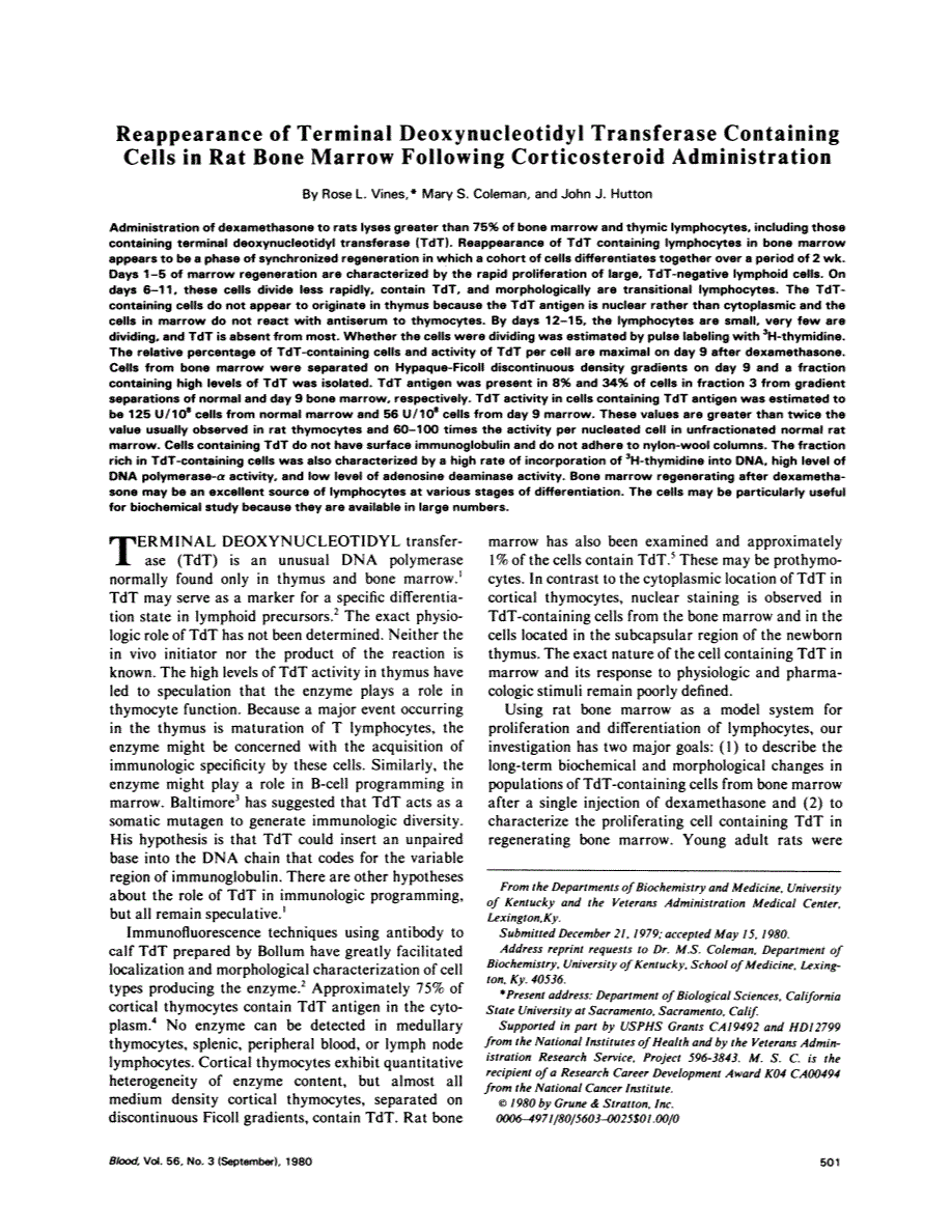 First page of Reappearance of terminal deoxynucleotidyl transferase containing cells in rat bone marrow following corticosteroid administration