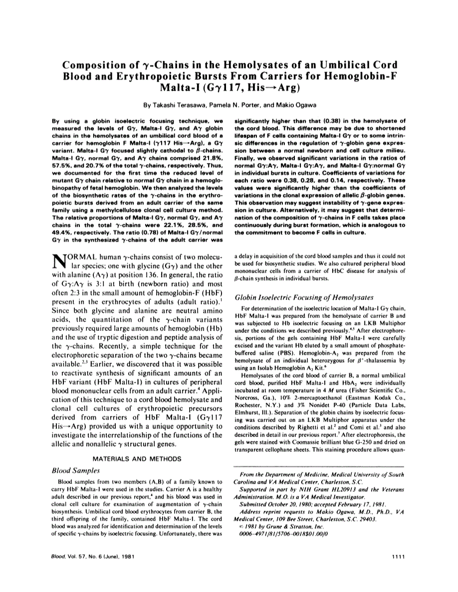 First page of Composition of gamma-chains in the hemolysates of an umbilical cord blood and erythropoietic bursts from carriers for hemoglobin-F Malta-I (G gamma 117, His replaced by Arg)