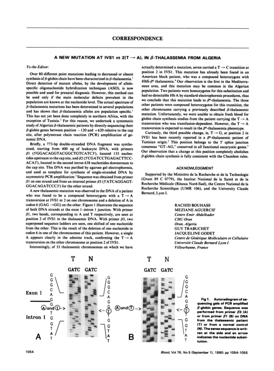 First page of A new mutation at IVS1 nt 2(T----A), in beta-thalassemia from Algeria