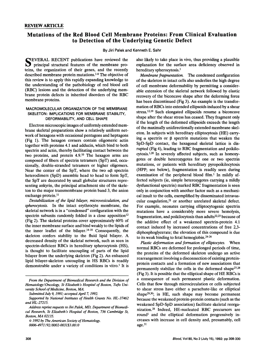First page of Mutations of the red blood cell membrane proteins: from clinical evaluation to detection of the underlying genetic defect