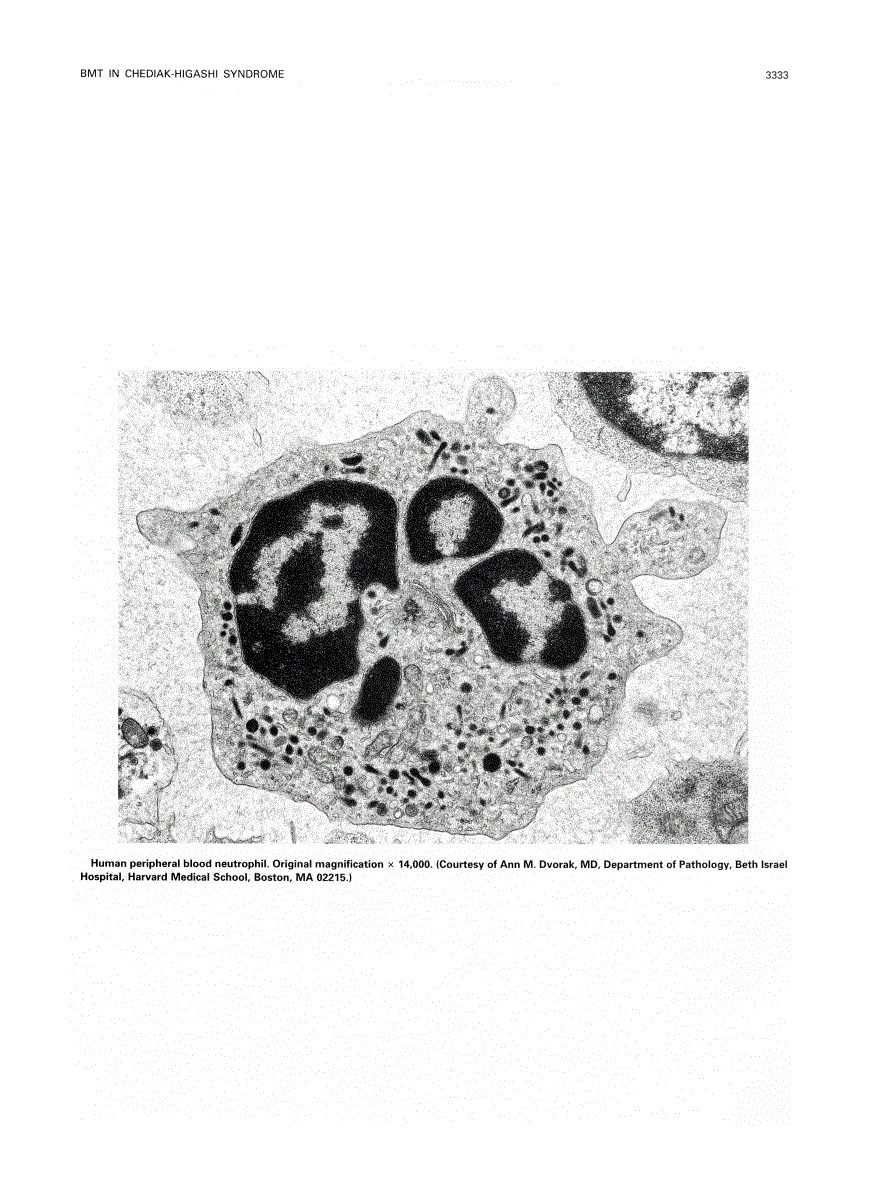 First page of Photograph