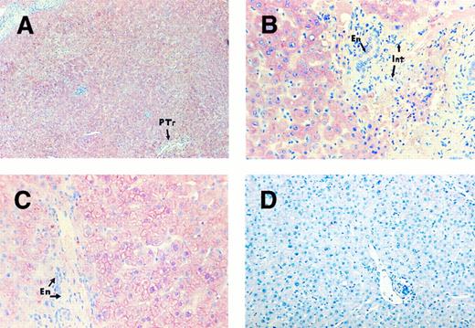 Fig. 3. TPO mRNA expression assessed by in situ hybridization on human liver sections. Liver sections of a patient with normal platelet counts (A and B) and a patient with ITP (C), probed with TPO cDNA probe. Strong signal development in hepatocytes but negative staining in endothelial cells (En) and interstitial cells (Int). Patchy signal distribution around portal tract (PTr). Liver section (D) from an individual with normal platelet count probed with plasmid vector pBR322 as a negative control. Original magnification: (A) ×108; (B and C) ×396; (D) ×240.