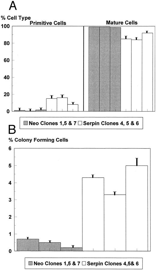 Fig. 9. (A) Represents the results of differential cell morphology scores performed on the serpin 2A and vector only control transfected FDCP-Mix cells after 8 days of culturing under conditions that promote granulocyte macrophage differentiation. The results represent the pooled data of three experiments for each clone, and the sample standard deviations are shown. Primitive cells comprise blasts and early granulocytes; mature cells represent metamyelocytes, mature granulocytes, and macrophages. The mean 8-day terminal counts were 5.0 × 105 cells/mL for vector only transfectants and 5.3 × 105cells/mL for serpin 2A transfectants with standard deviations not exceeding 10% of the mean (not shown). Statistical comparison of the Neo clone with the highest mean number of primitive cells (Neo 7) to each of the serpin clones using a two sample t-test gave P values of <.005 for serpin clones 4 and 5 judged as a highly significant difference and <.05 for serpin 6, which is judged as significant. (B) Represents the results of the soft agar clonogenic assays performed on serpin 2A and vector only transfected FDCP-Mix cells. Clones were plated at 5 × 103 cells/assay and the serpin 2A transfected clones were also scored at plating densities of 2 × 103 cells/assay. Each data point was the mean result of three separate plating assays and is representative of three repeat experiments with the standard deviations shown. Statistical comparison of the neo clone with the highest clonogenic potential (Neo1) with each of the serpin 2A transfected clones using a two sample t-test gave a P value of <.005 for all clones, which is judged as a highly significant difference.